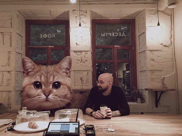 Πως θα ήταν ο κόσμος αν οι γάτες ήταν πολύ - αλλά πολύ - μεγαλύτερες;