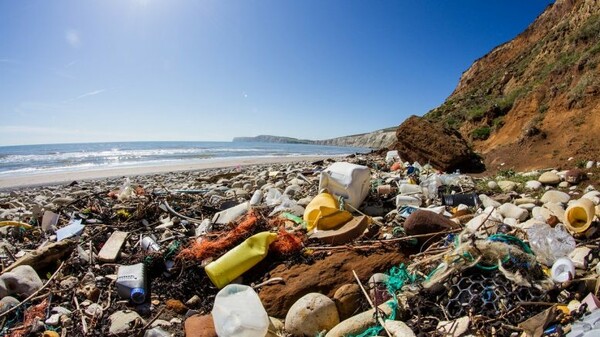 Πλαστική ρύπανση στο Αιγαίο - «Αρχίζουν να είναι τρομακτικά τα αποτελέσματα στις ελληνικές θάλασσες»