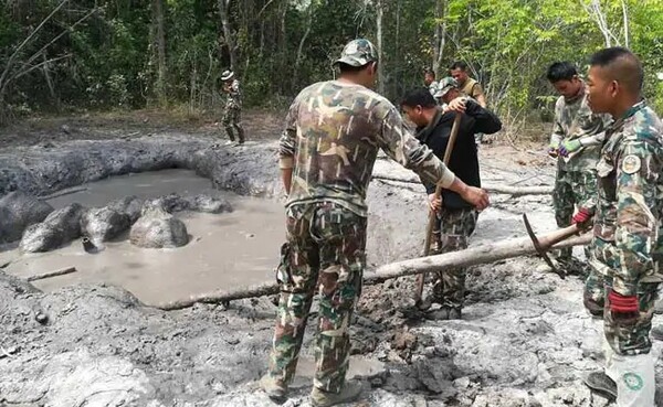 Επιχείρηση διάσωσης για ελεφαντάκια που εγκλωβίστηκαν σε λάκκο από λάσπη