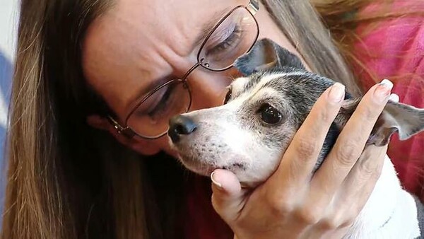 Βρήκε τον σκύλο που έχασε μετά από 12 χρόνια - Η συγκινητική ιστορία και πώς τα κατάφερε