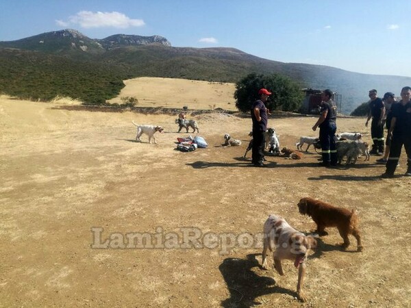 Φωτιά σε κυνοτροφείο στη Θήβα - Μάχη των πυροσβεστών για να σώσουν τα σκυλιά