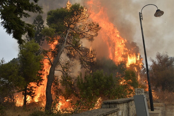 Μαίνονται οι καταστροφικές πυρκαγιές σε Λίβανο και Συρία - Η Ελλάδα έστειλε δύο καναντέρ