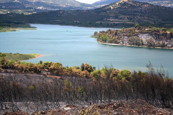 Σκρέκας: «Κάθε χρόνο εξαντλούμε 700 λίμνες του Μαραθώνα από τα υπόγεια αποθέματα νερού»