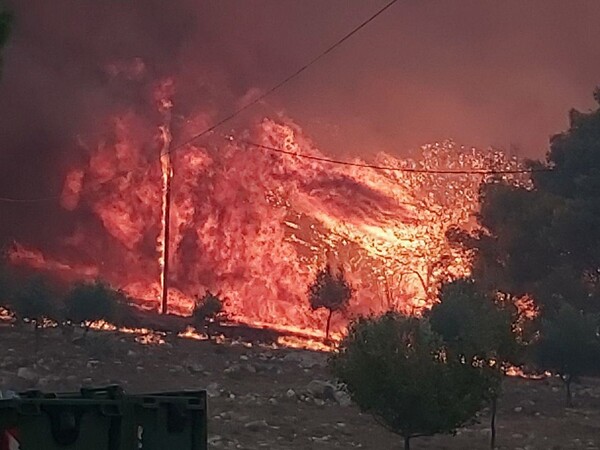 Μαυρισμένη γη σε Ζάκυνθο και Λουτράκι: Χιλιάδες στρέμματα έγιναν στάχτη - Τι κατέγραψε δορυφόρος