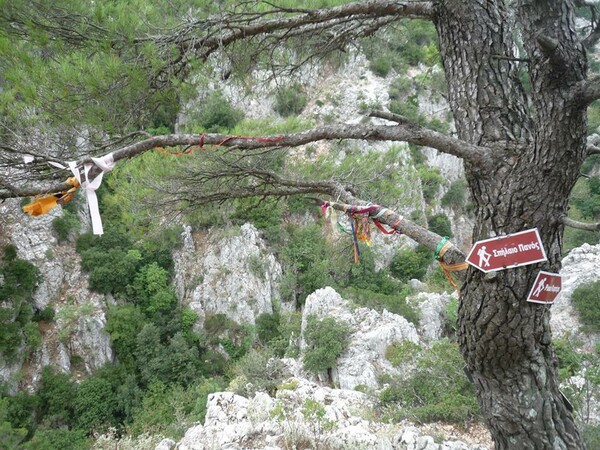 Πάρνηθα: Εντοπίστηκαν οι τέσσερις που είχαν χαθεί στο σπήλαιο Πανός - Συνεχίζεται η έρευνα για τον πέμπτο