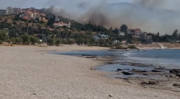 Φωτιά στο Λαγονήσι: Εκκενώνονται σπίτια - Κλειστή η λεωφόρος Σουνίου