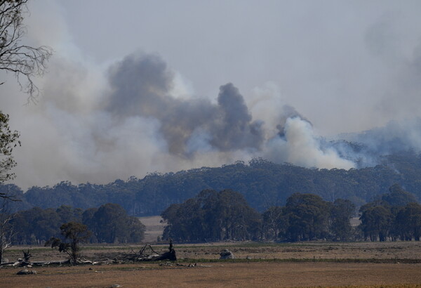 Μαίνονται οι καταστροφικές πυρκαγιές στην Αυστραλία - Η δραματική προειδοποίηση της πυροσβεστικής
