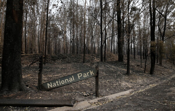 Αυστραλία: Σε κατάσταση έκτακτης ανάγκης δύο πολιτείες λόγω πυρκαγιών
