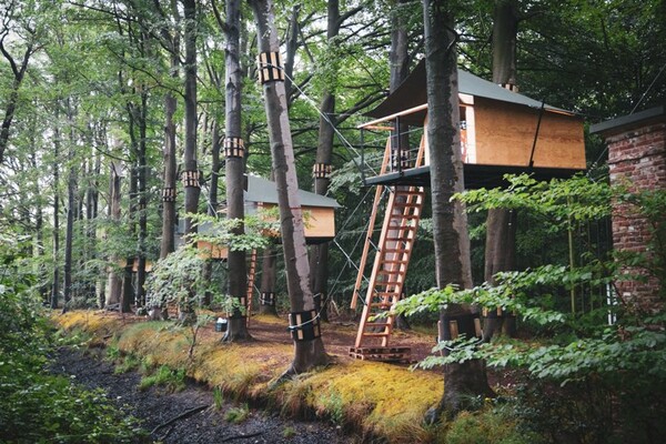 Βέλγιο: Διακοπές σε δεντρόσπιτο μέσα στο δάσος - Δωμάτια με king size κρεβάτια πάνω στα κλαδιά