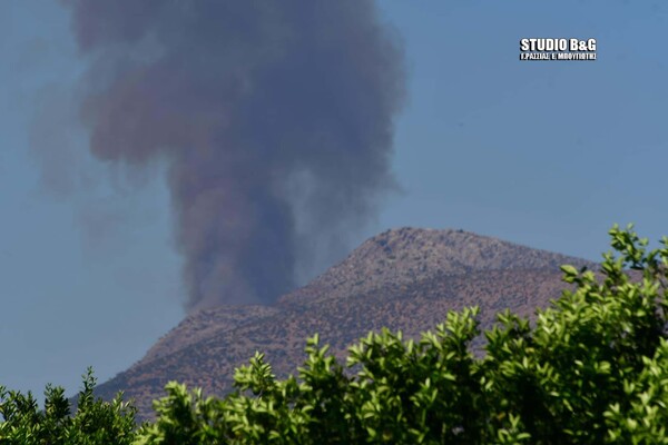 Φωτιά στις Μυκήνες: Εκκενώθηκε ο αρχαιολογικός χώρος