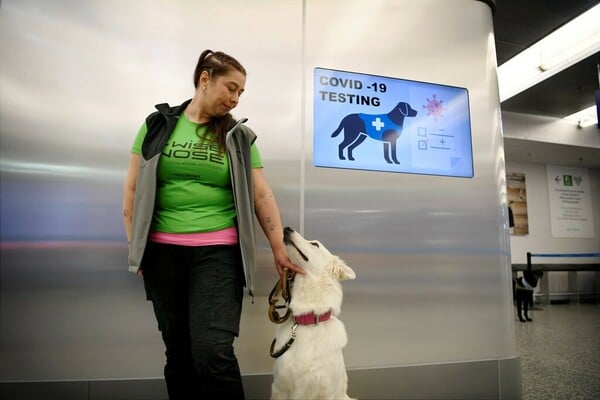 Το αεροδρόμιο του Ελσίνκι χρησιμοποιεί σκύλους για να μυρίζουν τον κορωνοϊό