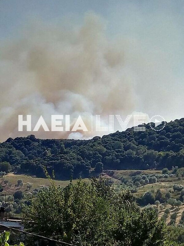 Συναγερμός για μεγάλη πυρκαγιά στην Ηλεία - Πληροφορίες για εκκένωση οικισμού