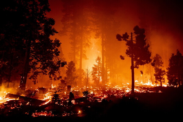 Καλιφόρνια: Πυρκαγιές «πρωτοφανούς κλίμακας από το 1987» - Έχει καεί έκταση όσο 80 Παρίσια