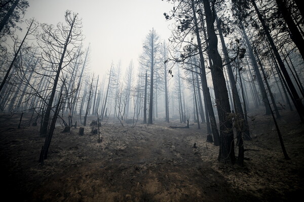 Καλιφόρνια: Πυρκαγιές «πρωτοφανούς κλίμακας από το 1987» - Έχει καεί έκταση όσο 80 Παρίσια