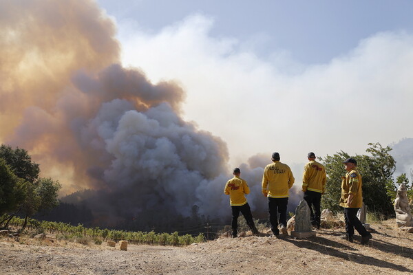Καλιφόρνια: Πυρκαγιά στους αμπελώνες της κοιλάδας της Νάπα - Κάηκαν 45.000 στρέμματα