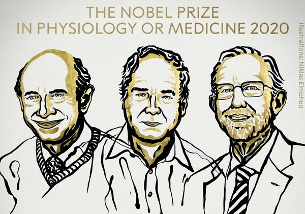Ανακοινώθηκε το βραβείο Νόμπελ Φυσιολογίας και Ιατρικής- Στους επιστήμονες που ανακάλυψαν τον ιό της ηπατίτιδας C