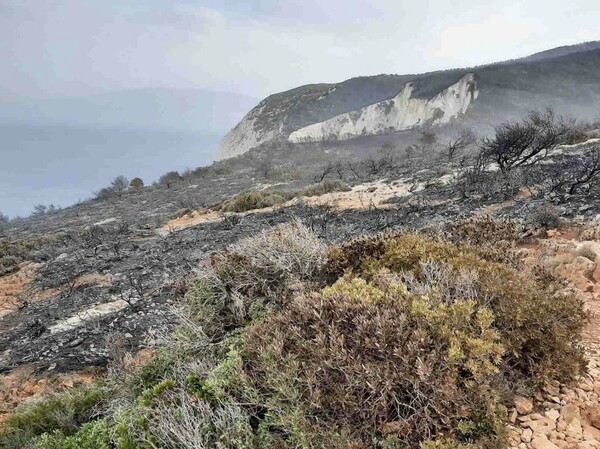 Ζάκυνθος - Βολίμες: Κάηκε η βλάστηση πάνω από την παραλία του «Ναυαγίου»