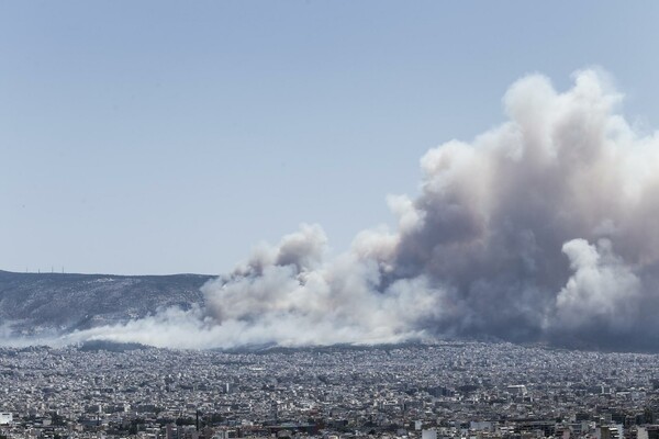 Mάχη με τις φλόγες στον Καρέα - Oι πρώτες εικόνες από τη μεγάλη πυρκαγιά