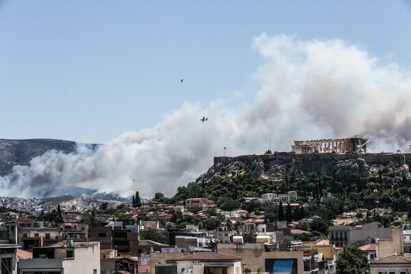 Mάχη με τις φλόγες στον Καρέα - Oι πρώτες εικόνες από τη μεγάλη πυρκαγιά