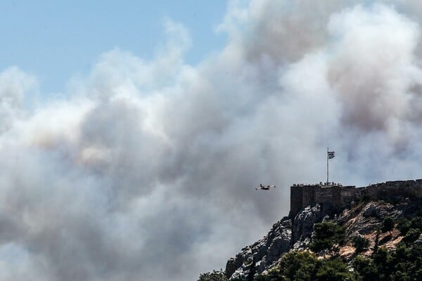 Mάχη με τις φλόγες στον Καρέα - Oι πρώτες εικόνες από τη μεγάλη πυρκαγιά