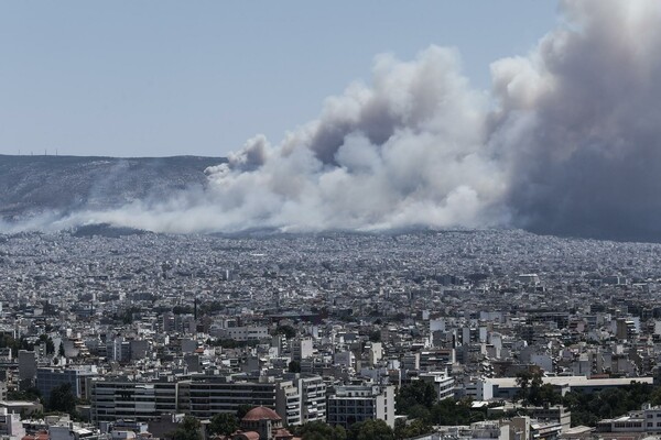 Mάχη με τις φλόγες στον Καρέα - Oι πρώτες εικόνες από τη μεγάλη πυρκαγιά