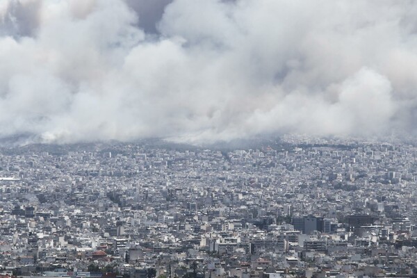 Mάχη με τις φλόγες στον Καρέα - Oι πρώτες εικόνες από τη μεγάλη πυρκαγιά