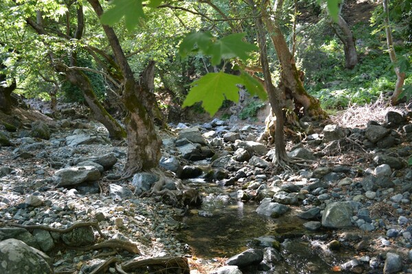 Βρέθηκαν οι δυο 24χρονες στη Σαμοθράκη