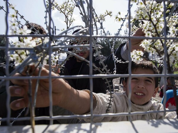 Πρόσφυγες έπλεξαν ανοιξιάτικα λουλούδια στον φράχτη της Ειδομένης (φωτό)