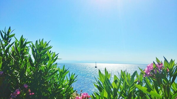 40 νέες φωτογραφίες των αναγνωστών μας, στο σημερινό INSTALIFO