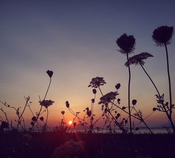 40 νέες φωτογραφίες των αναγνωστών μας, στο σημερινό INSTALIFO