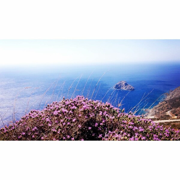 40 νέες φωτογραφίες των αναγνωστών μας, στο σημερινό INSTALIFO