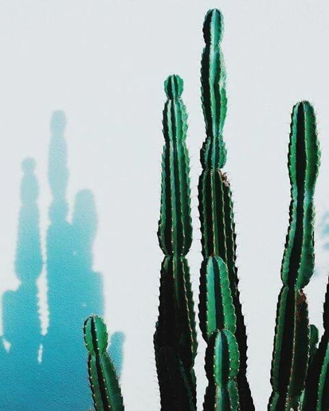 40 νέες φωτογραφίες των αναγνωστών μας, στο σημερινό INSTALIFO