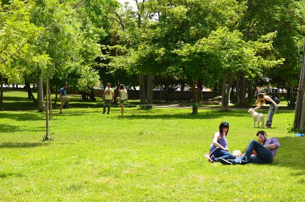 Green Spaces: μια εφαρμογή για να μάθεις το πράσινο της πόλης σου