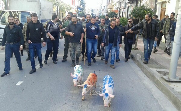 Παρέμβαση της δικαιοσύνης ζητά η ΠΦΠΟ για τις εικόνες ζώων που ταλαιπωρούνται στις διαδηλώσεις