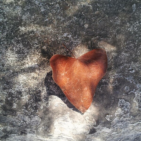 40 νέες φωτογραφίες των αναγνωστών μας, στο σημερινό INSTALIFO