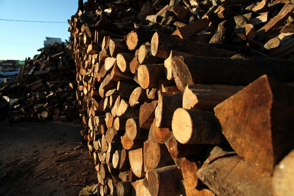Ο δήμος Ηρακλείου θα μοιράσει τα ξύλα από το κλάδεμα των δέντρων