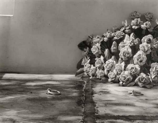 6.000 φωτογραφίες του Minor White είναι πια διαθέσιμες online