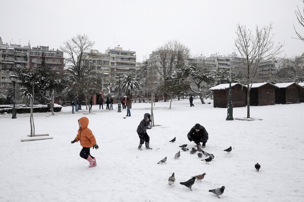 Χιόνια στα βόρεια, βροχές στα νότια