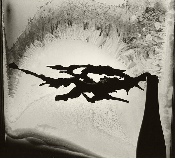 6.000 φωτογραφίες του Minor White είναι πια διαθέσιμες online