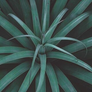 30 νέες φωτογραφίες των αναγνωστών μας, στο σημερινό INSTALIFO