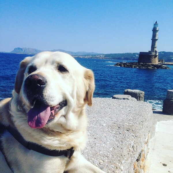 30 νέες φωτογραφίες απ' τα τέλεια ζώα των αναγνωστών μας