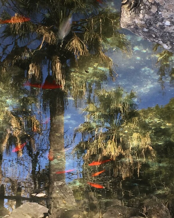 30 νέες φωτογραφίες των αναγνωστών μας, στο σημερινό INSTALIFO