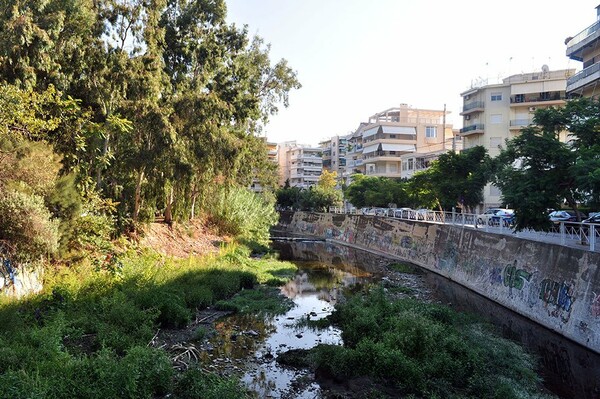 Άννα Μπούρμα, τι κρύβει το ρέμα της Πικροδάφνης και αξίζει να βάλουμε άρβυλα για να το κατέβουμε;