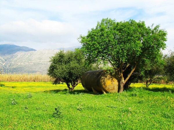 30 νέες φωτογραφίες των αναγνωστών μας, στο σημερινό INSTALIFO