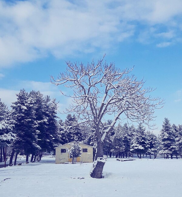 30 νέες φωτογραφίες των αναγνωστών μας, στο σημερινό INSTALIFO
