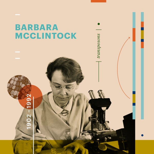 Beyond Curie: Οι Γυναίκες στην Επιστήμη