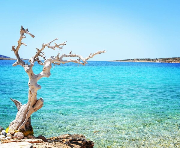 30 νέες φωτογραφίες των αναγνωστών μας, στο σημερινό INSTALIFO