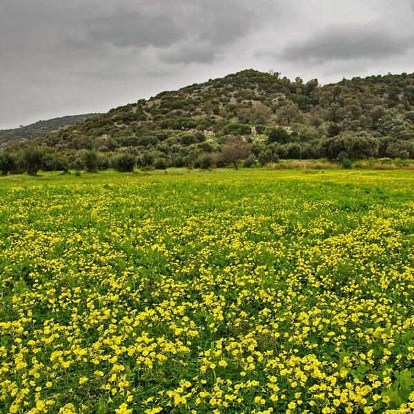 30 νέες φωτογραφίες των αναγνωστών μας, στο σημερινό INSTALIFO
