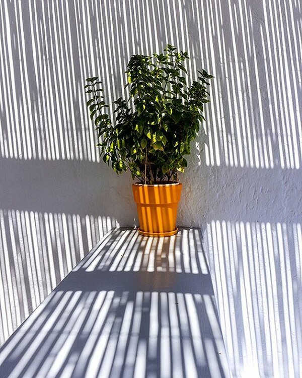 40 νέες φωτογραφίες των αναγνωστών μας, στο σημερινό INSTALIFO