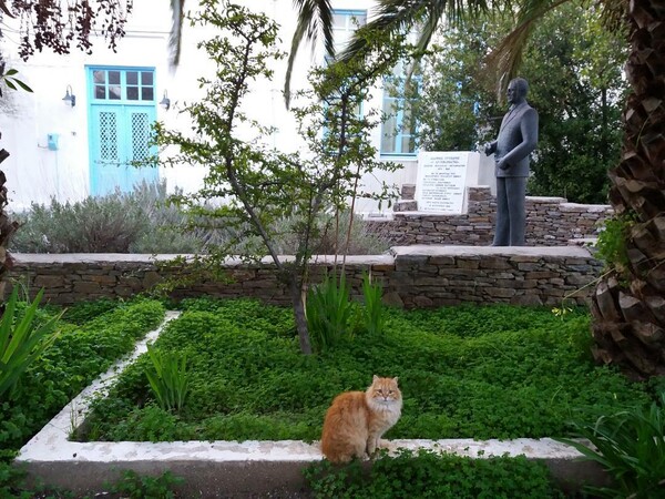 30 νέες φωτογραφίες απ' τα τέλεια ζώα των αναγνωστών μας